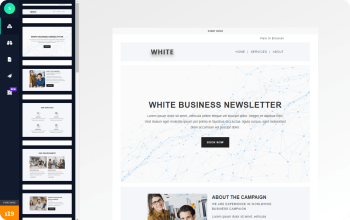 white responsive email newsletter